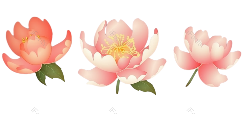 叶子图片,装饰元素,元素PNG,花纹免抠素材